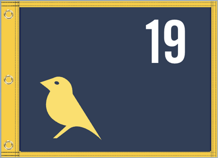 THE PIN FLAG