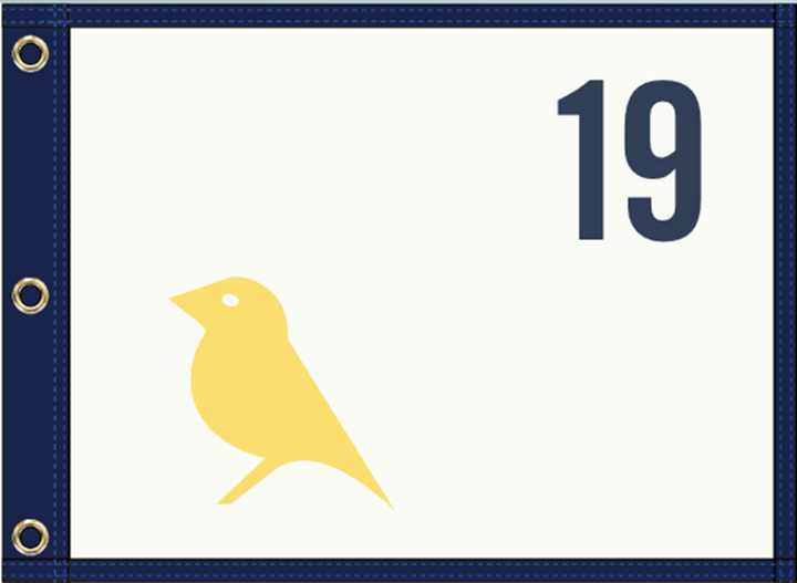 THE PIN FLAG